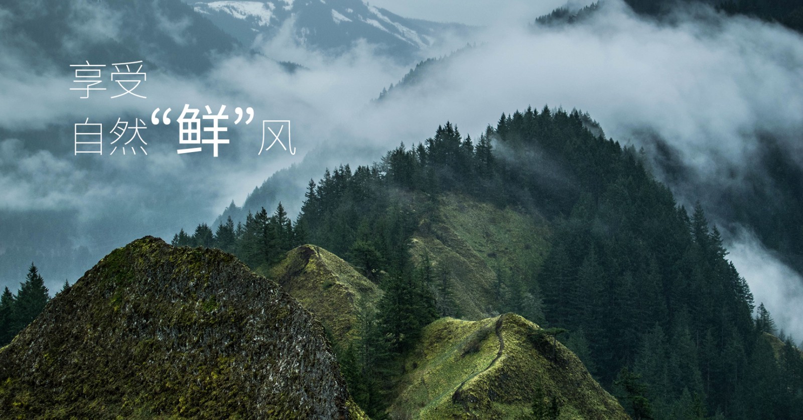 颯多大的、爽.jpg